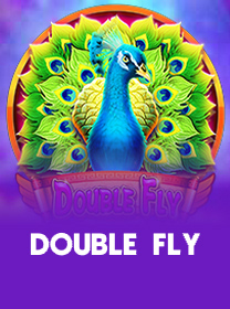 Double Fly game cover